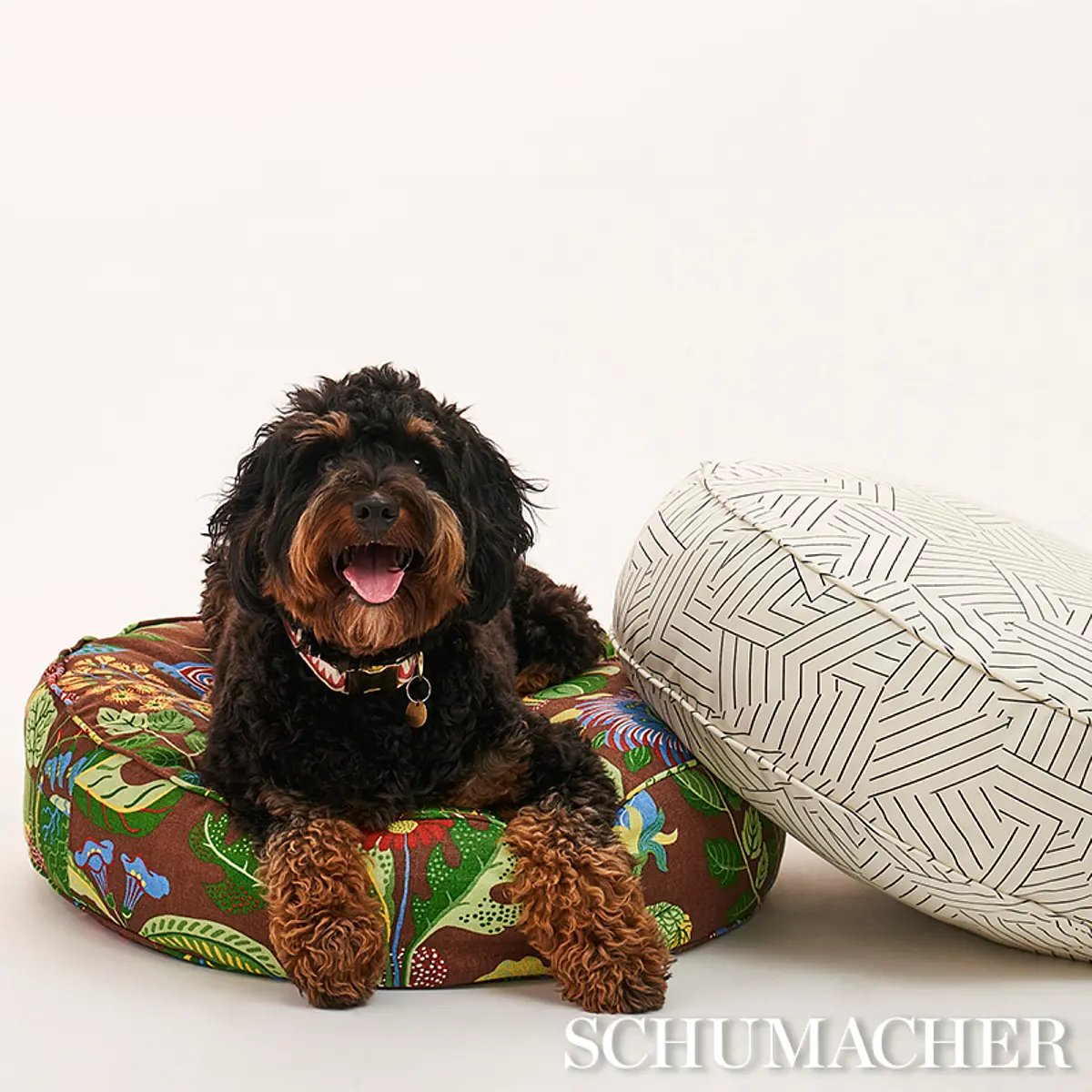 Deconstructed Stripe Dog Bed_ BLACK