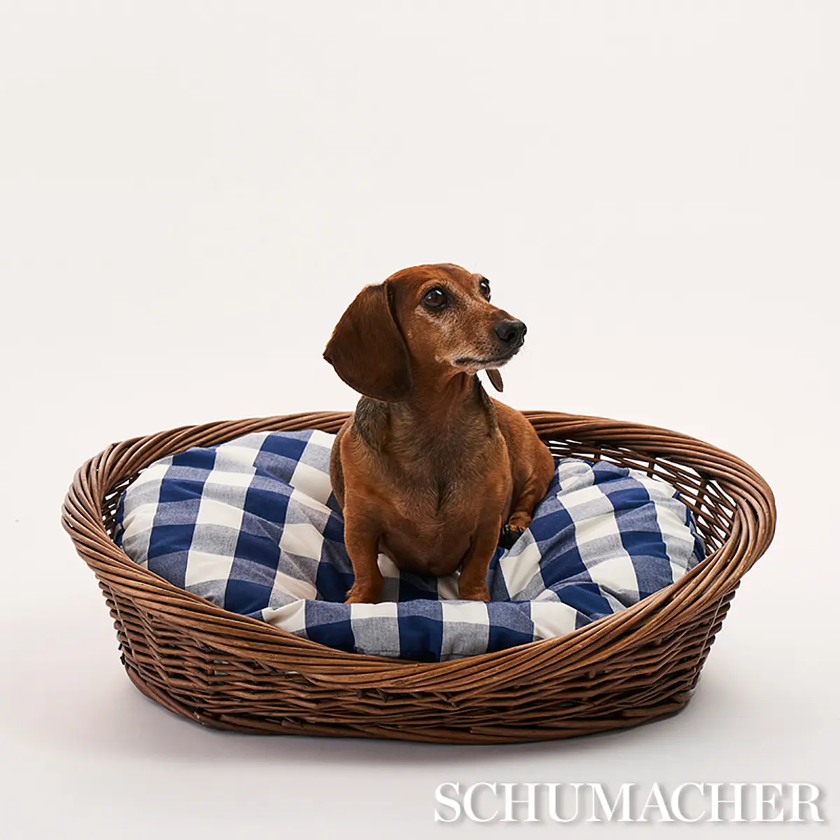 Camden Cotton Check Dog Bed_ NAVY