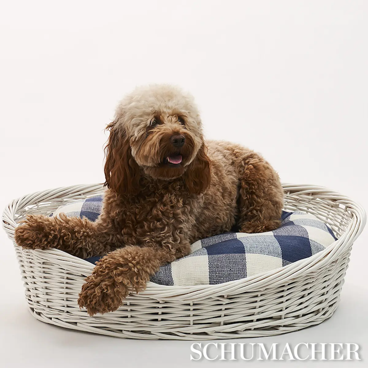 Barnes Check Dog Bed_ BLUE