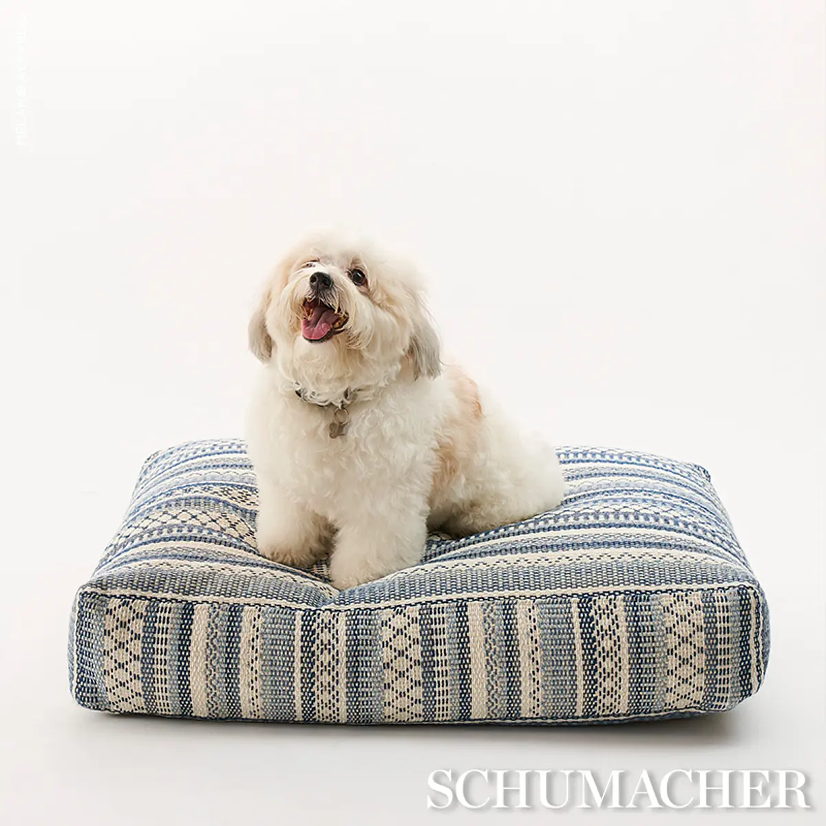Fremont Dog Bed_ BLUE