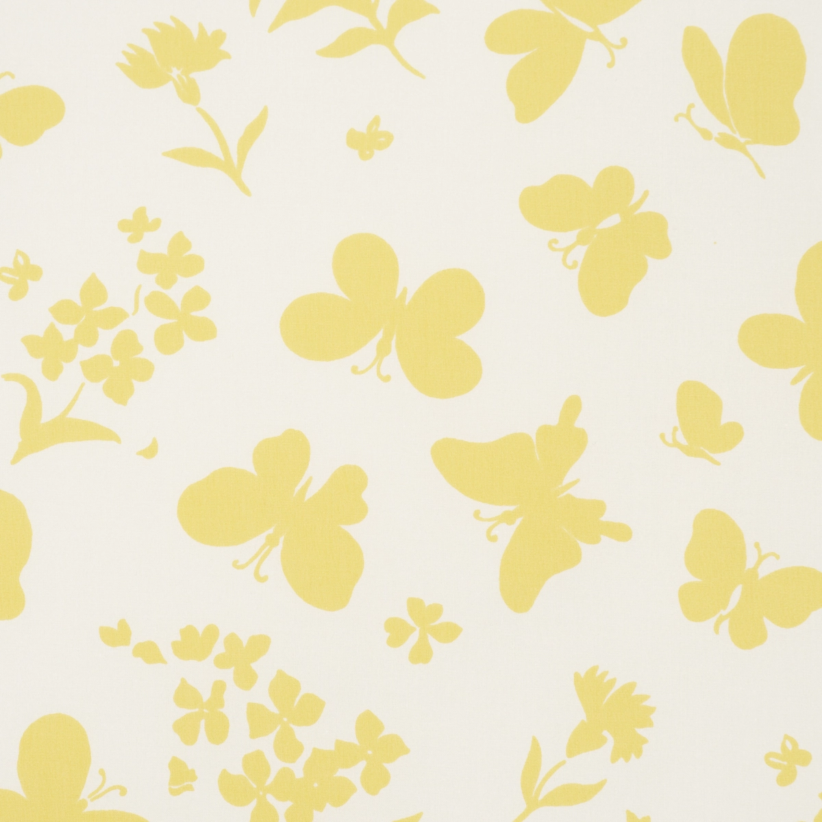 Butterflies_ BUTTERCUP