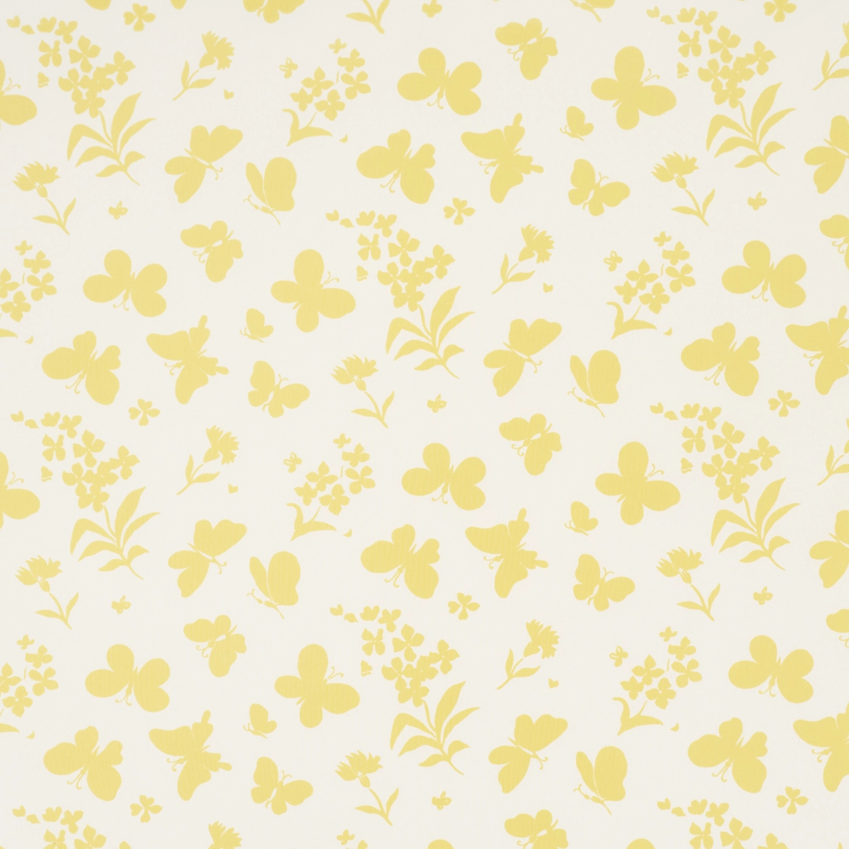 Butterflies_ BUTTERCUP