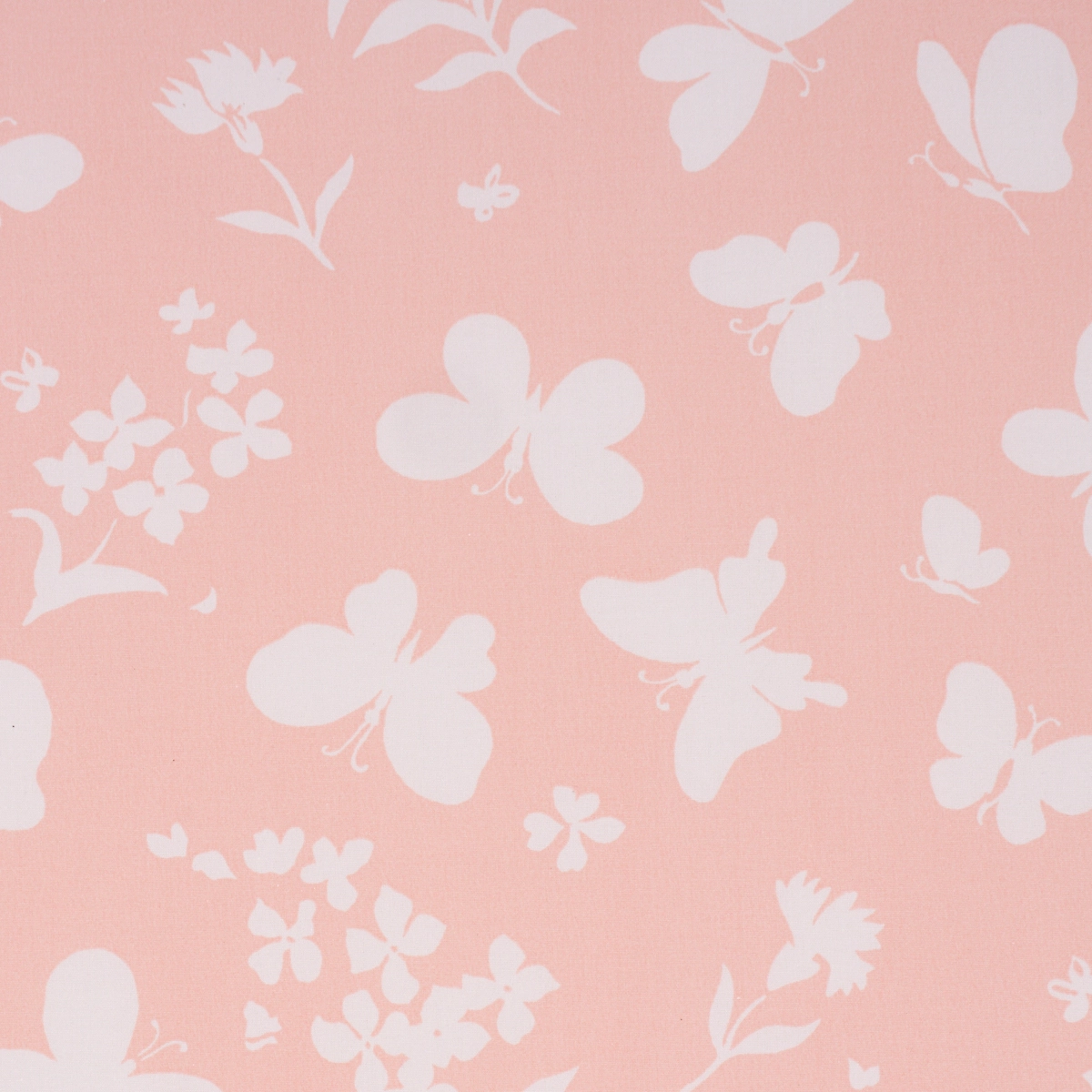 Butterflies_ PEACH