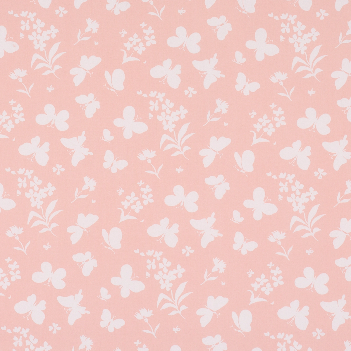 Butterflies_ PEACH