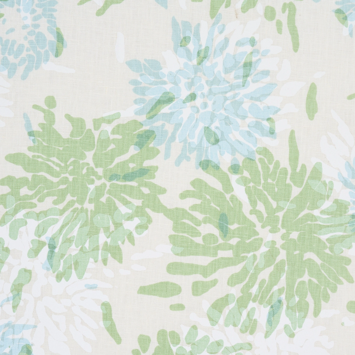 Chrysanthemum By Tillett_ GREEN & SKY
