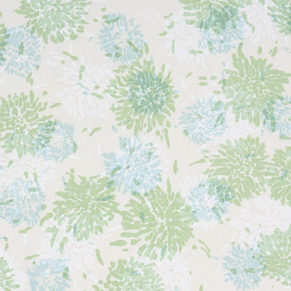 Chrysanthemum By Tillett_ GREEN & SKY