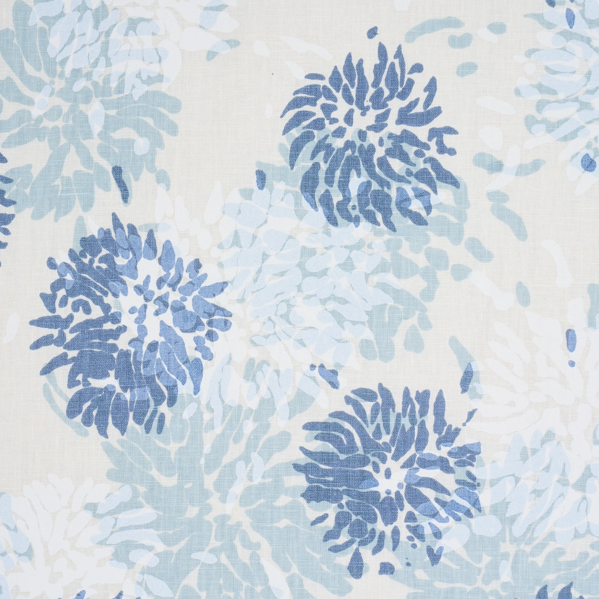 Chrysanthemum By Tillett_ BLUES
