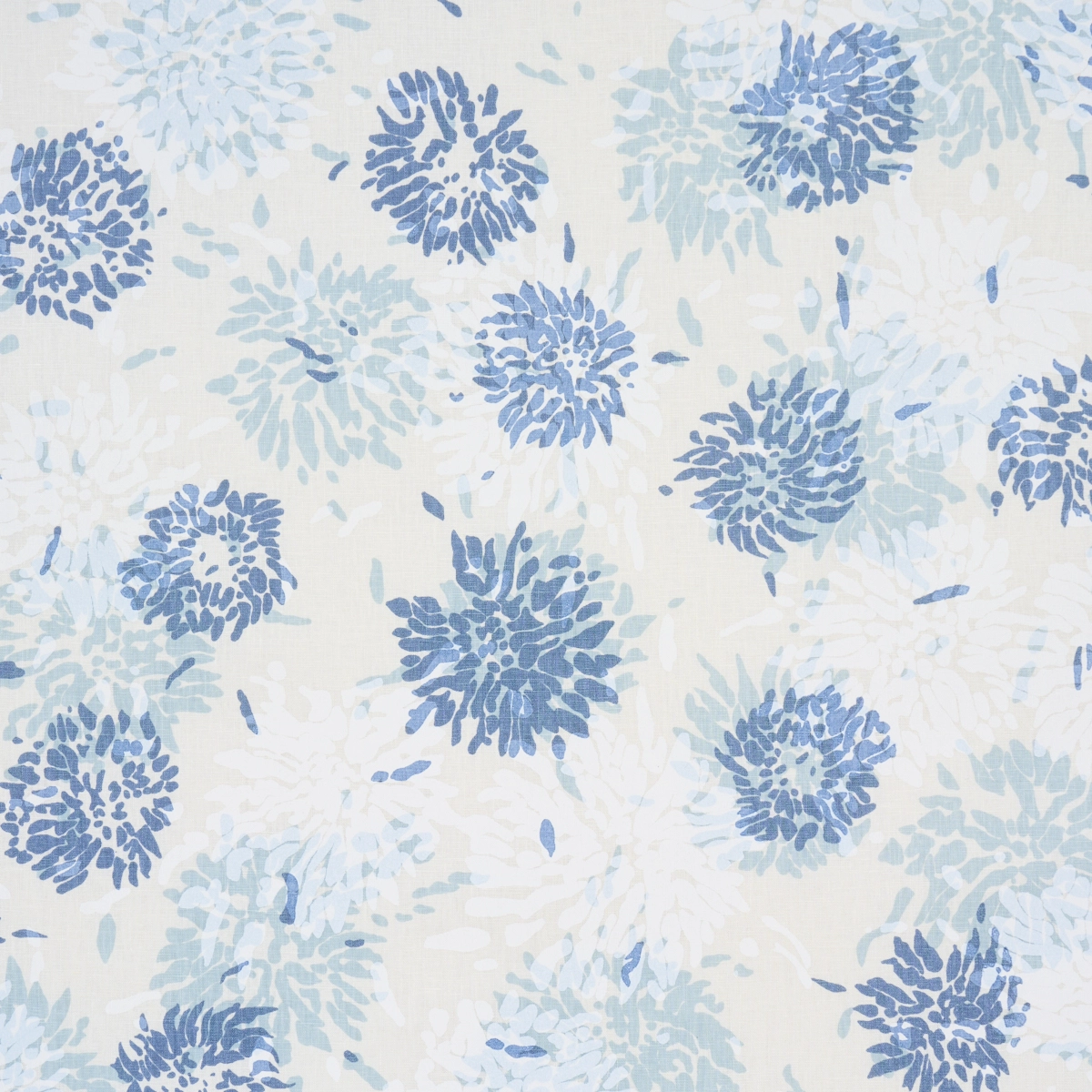 Chrysanthemum By Tillett_ BLUES