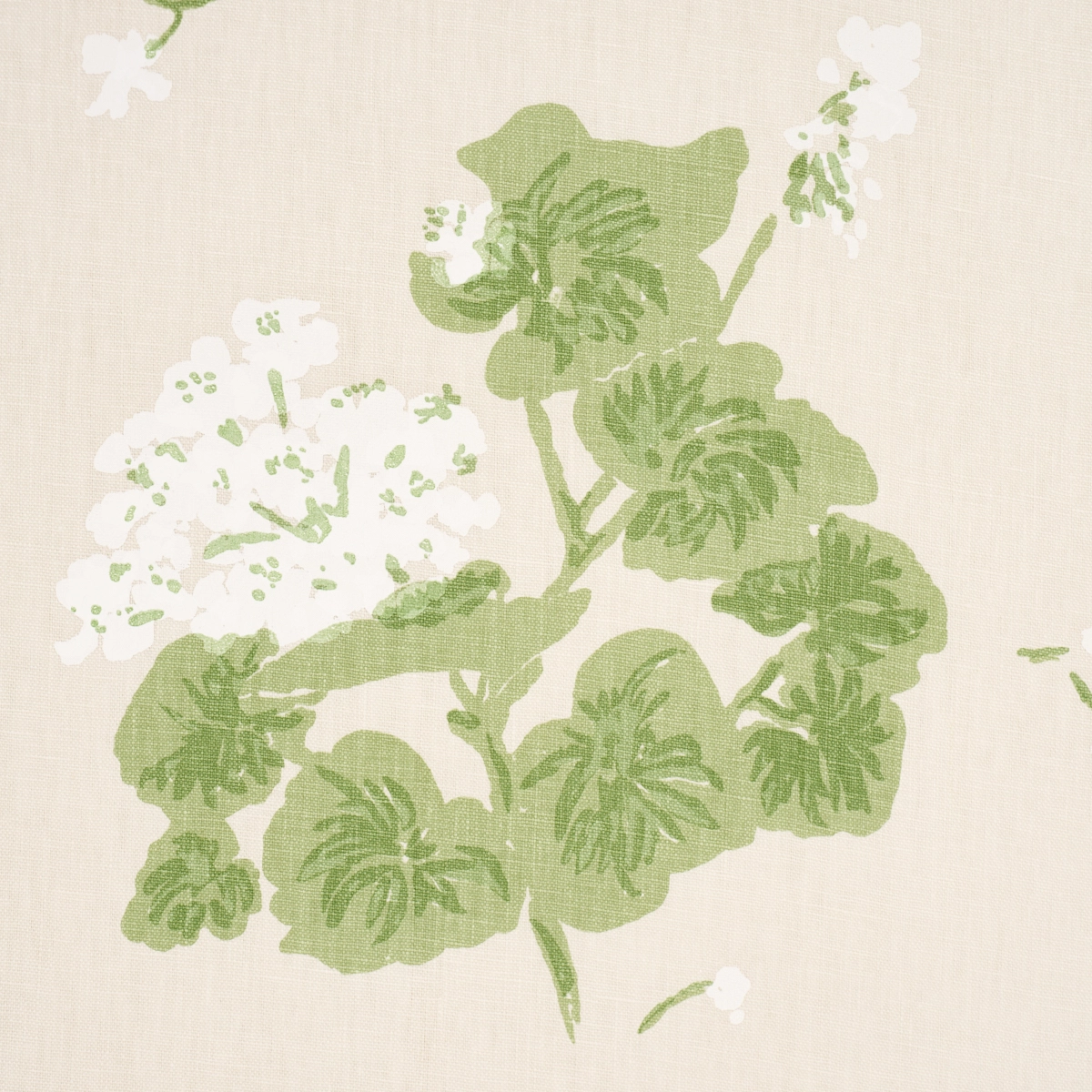 GERANIUM_ WHITE ON NATURAL