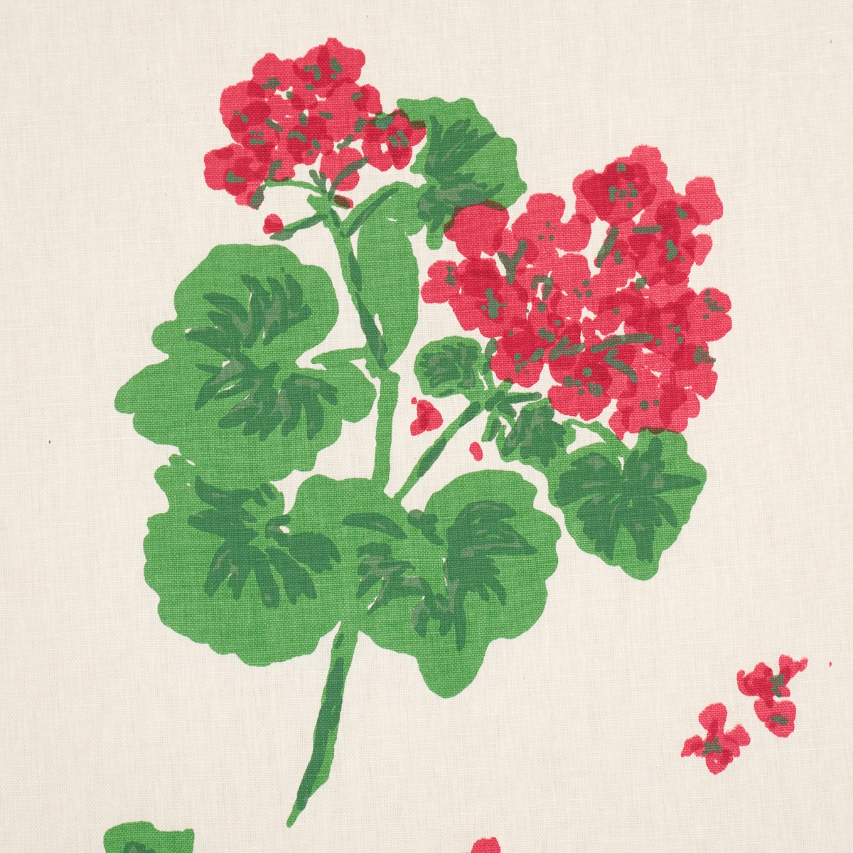 GERANIUM_ RED ON NATURAL