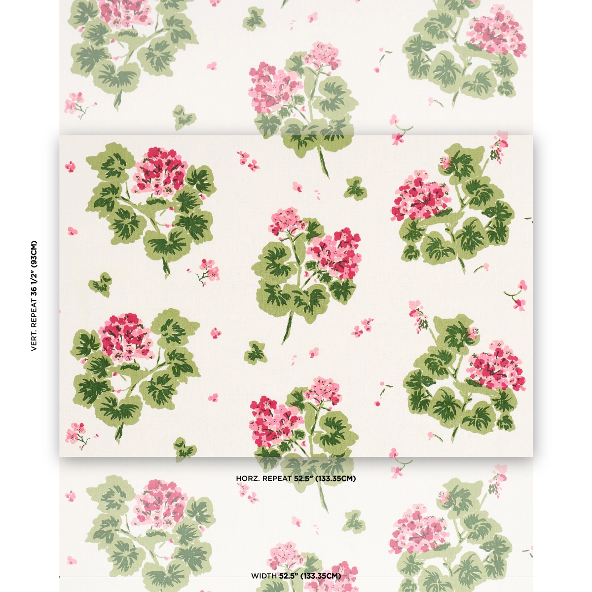 Geranium_ PINKS