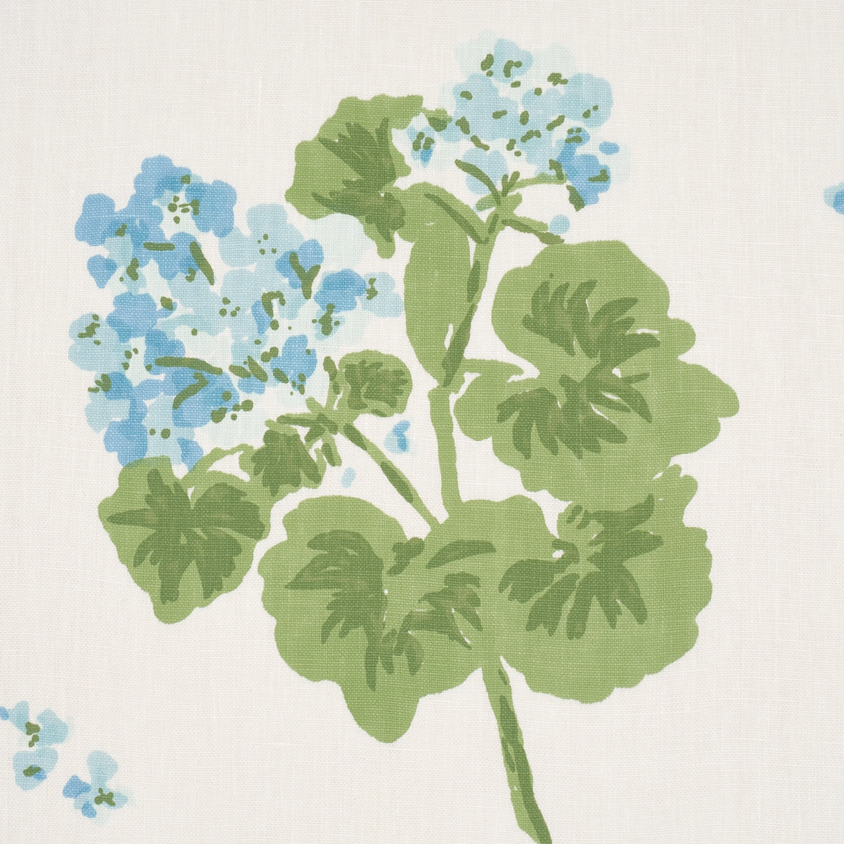 Geranium_ SKY