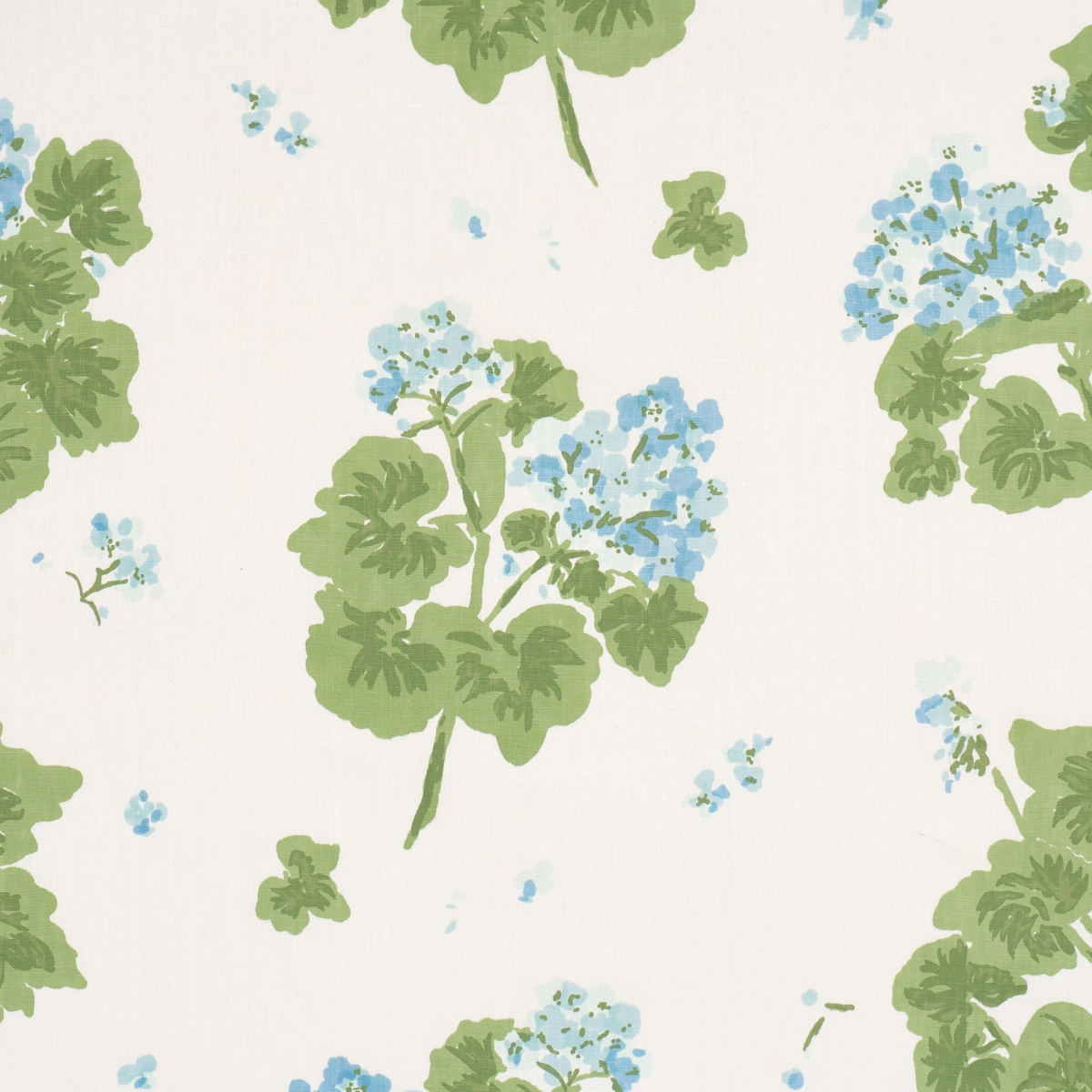 Geranium_ SKY