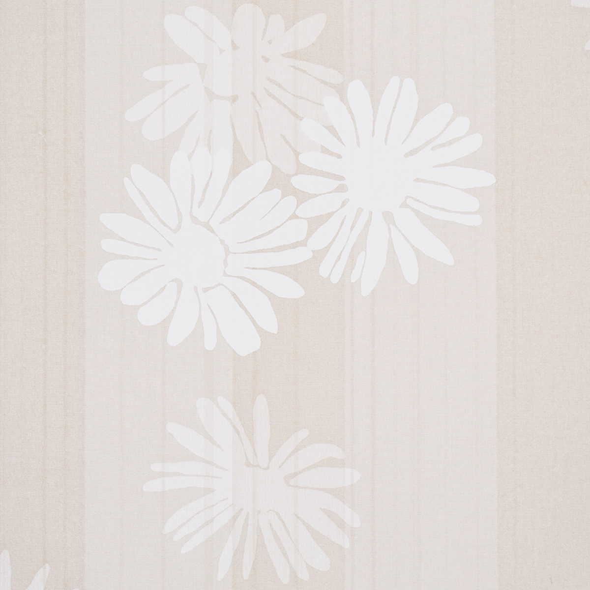 Jackie's Daisy_ STONE