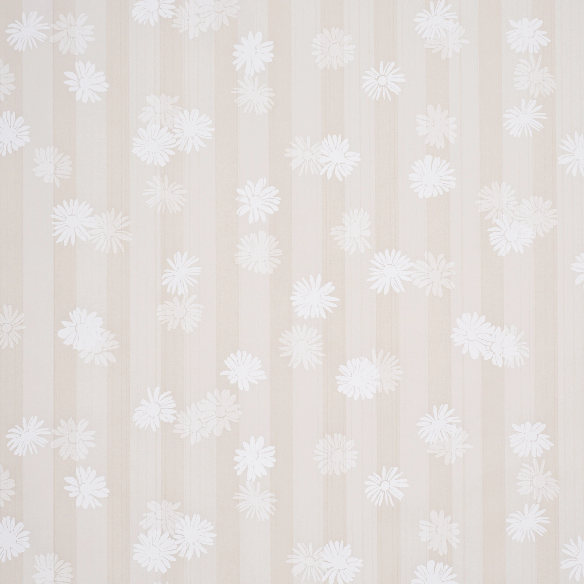 Jackie's Daisy_ STONE