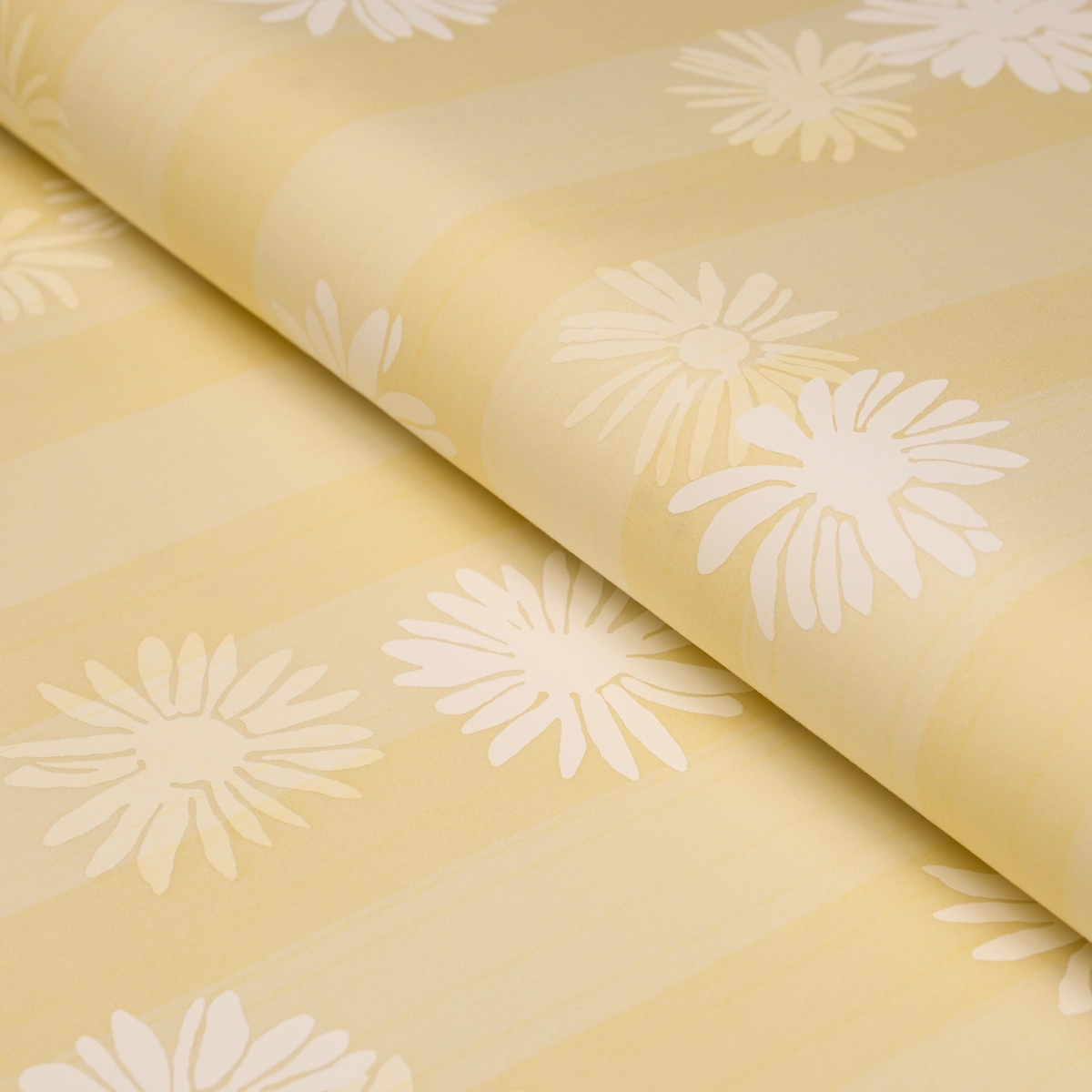 Jackie's Daisy_ BUTTERCUP