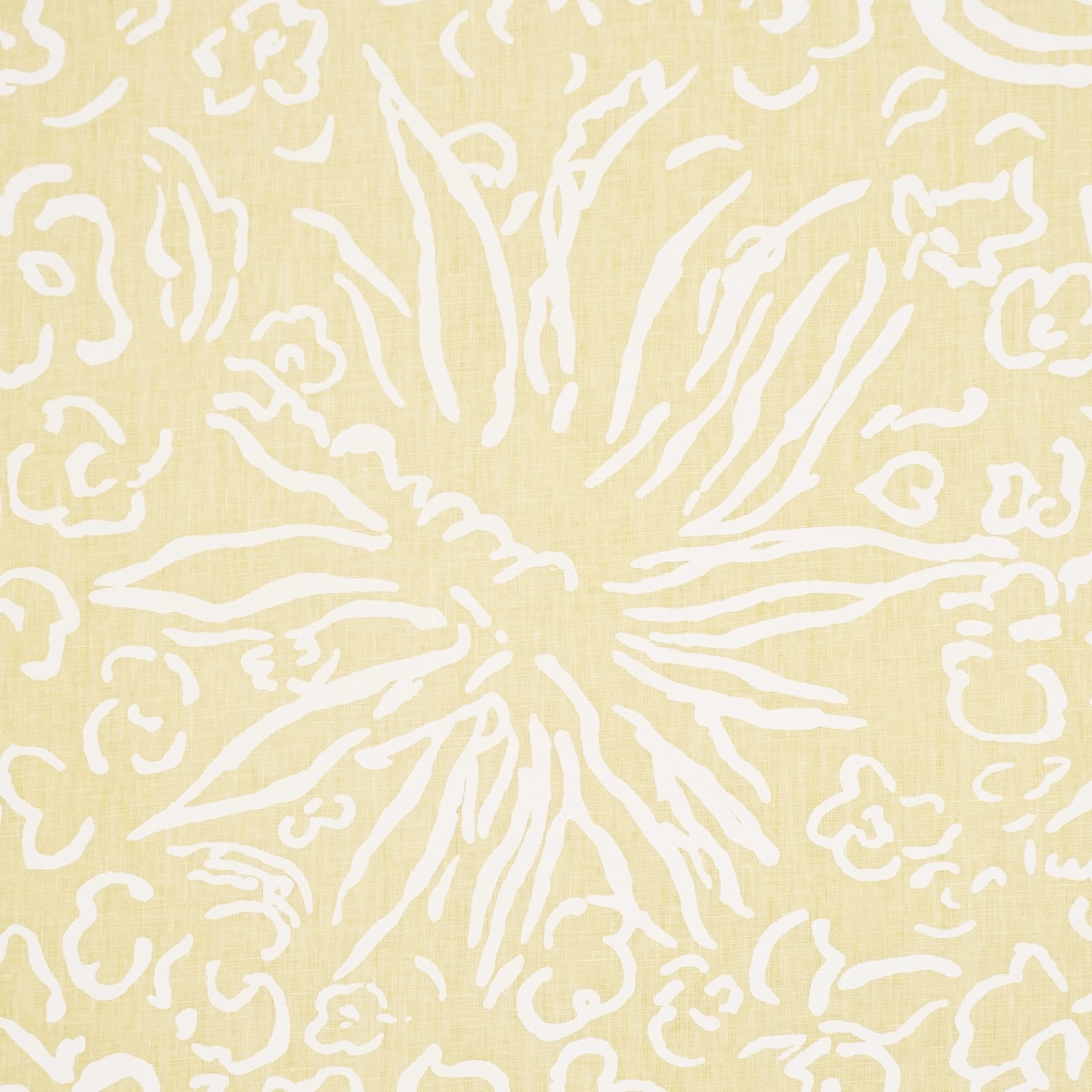 Matisse_ WHITE ON YELLOW