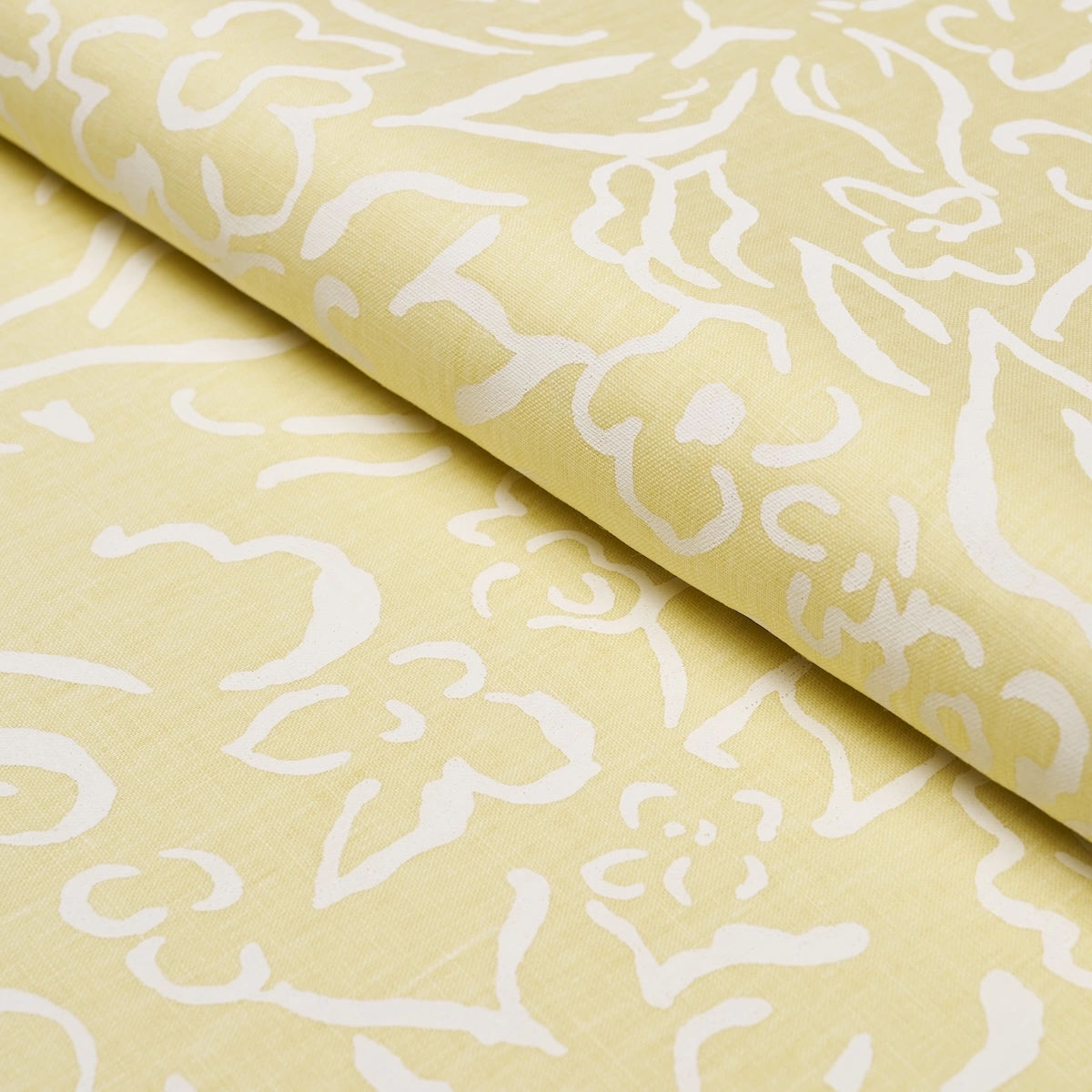 Matisse_ WHITE ON YELLOW