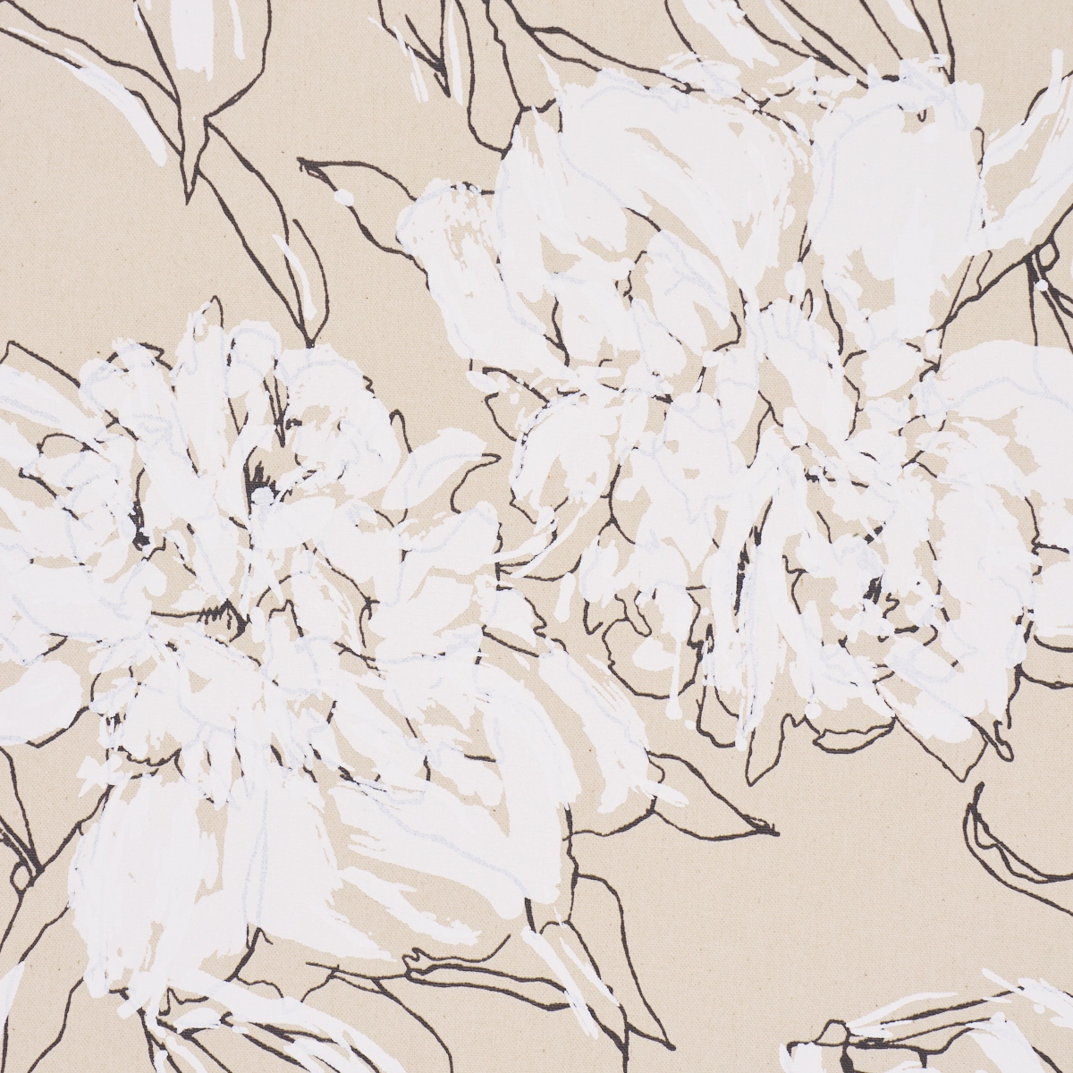 Peony Silhouette_ GRAPHITE