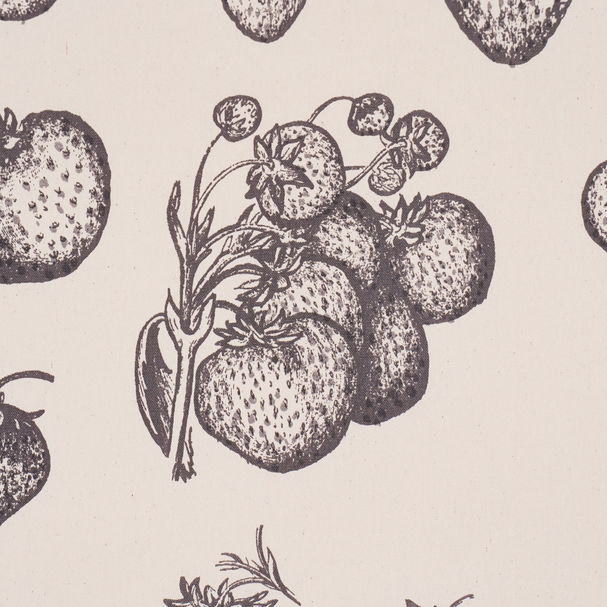 STRAWBERRY FIELDS_ GRAPHITE