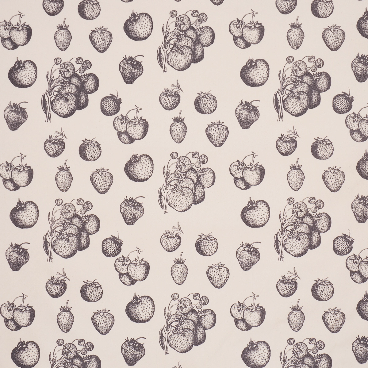 STRAWBERRY FIELDS_ GRAPHITE
