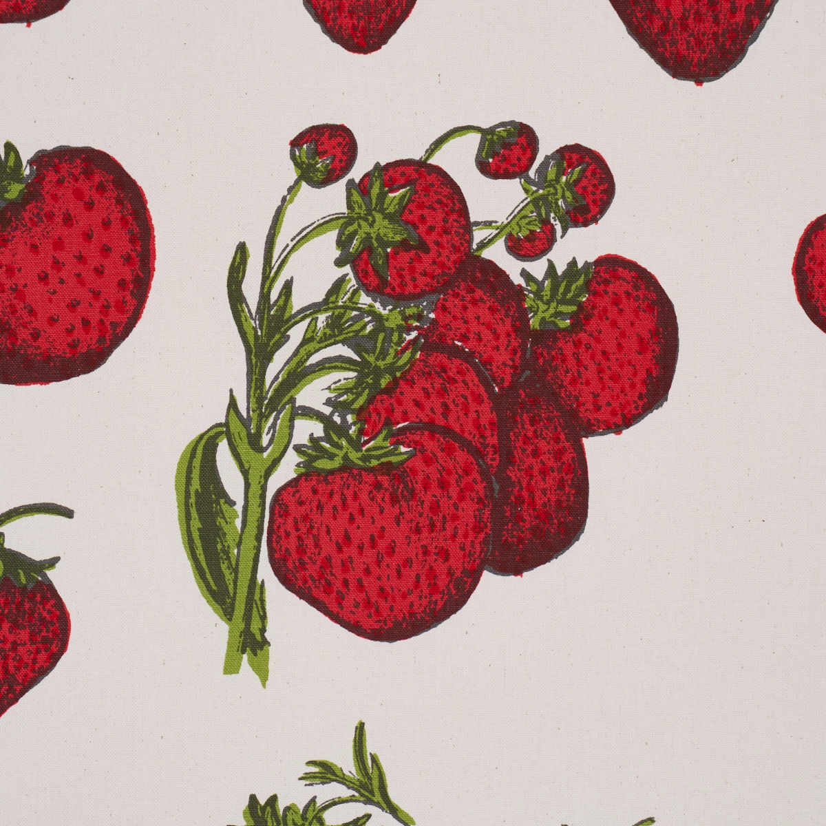 STRAWBERRY FIELDS_ RED