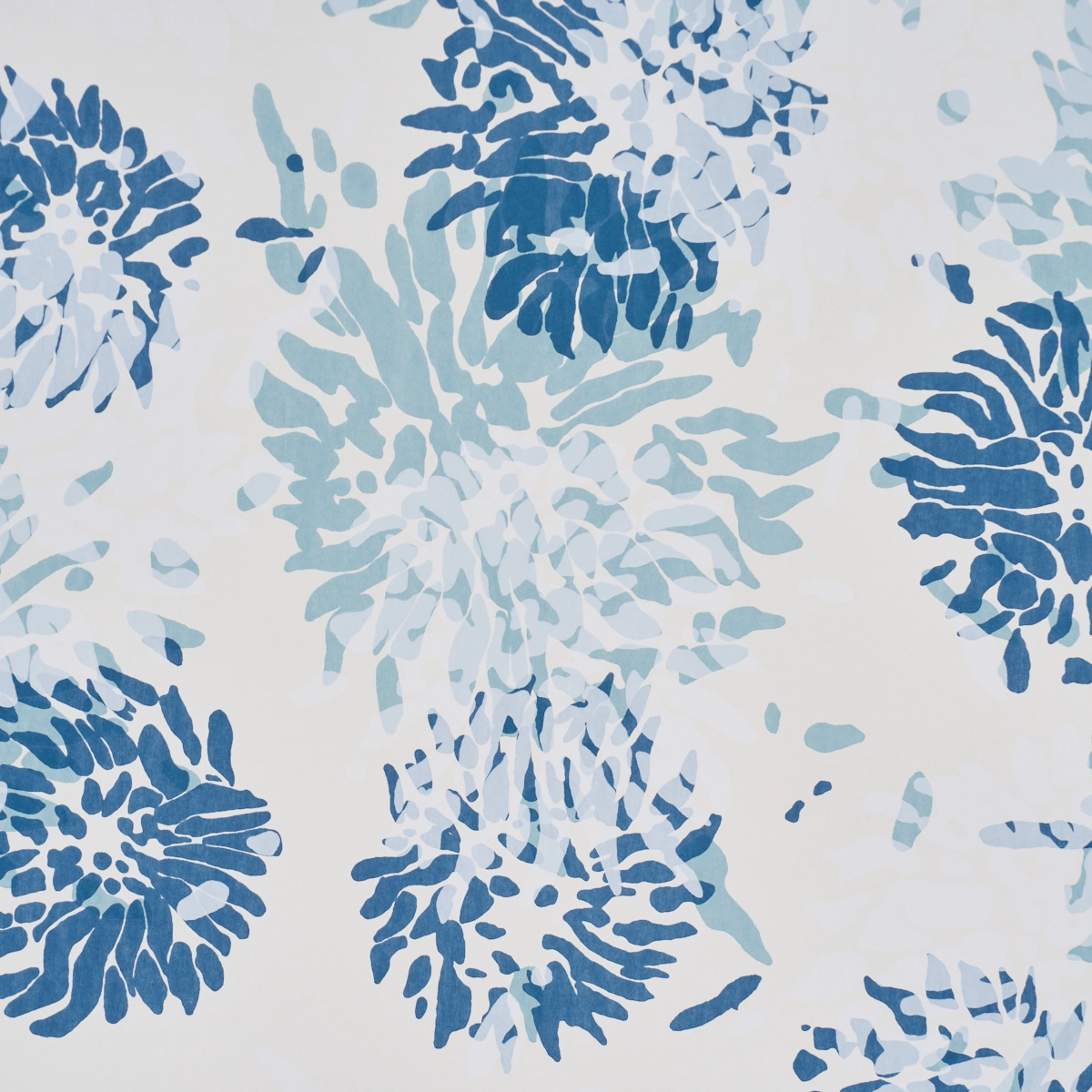 CHRYSANTHEMUM BY TILLETT_ BLUES
