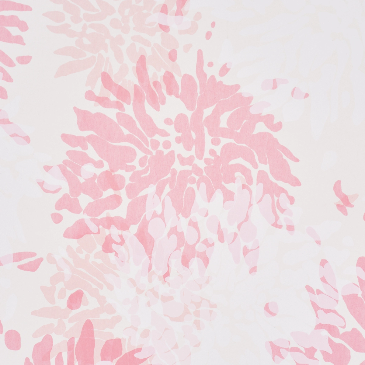 CHRYSANTHEMUM BY TILLETT_ PINKY