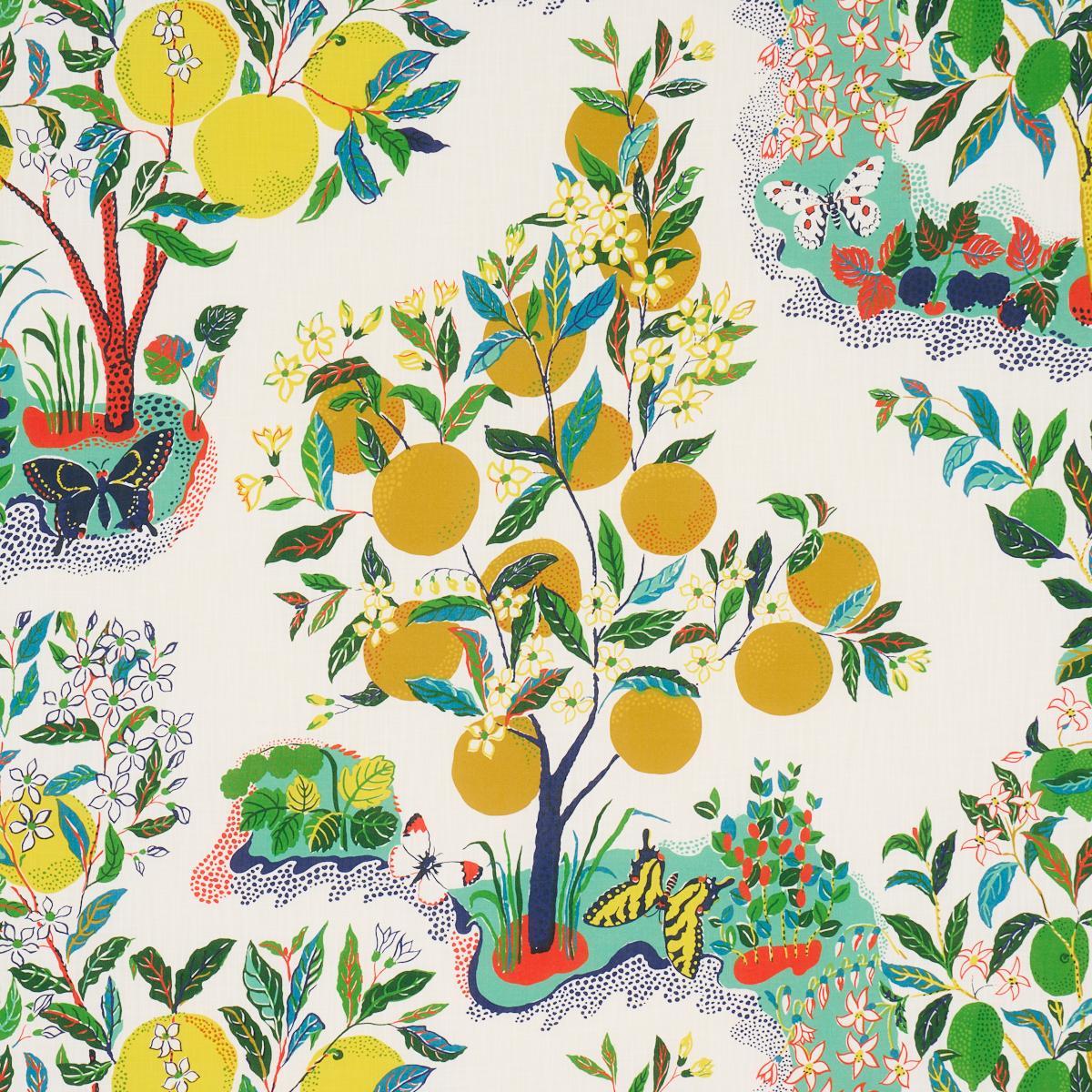 Citrus Garden Indoor/Outdoor - Primary Fabrics | Schumacher