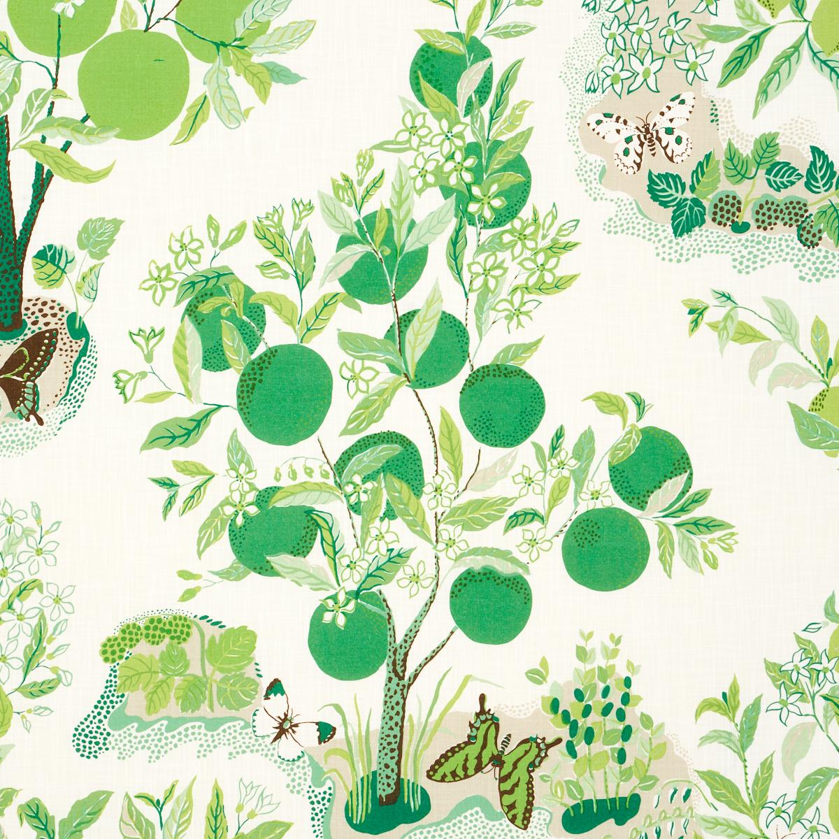 Citrus Garden Indoor/Outdoor - Leaf Fabrics | Schumacher