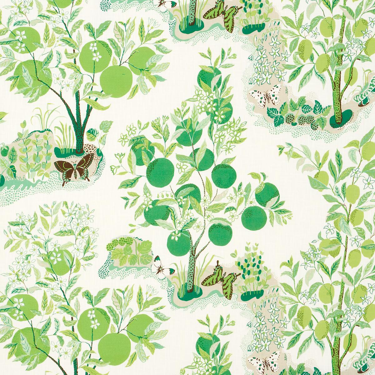 Citrus Garden Indoor/Outdoor - Leaf Fabrics | Schumacher