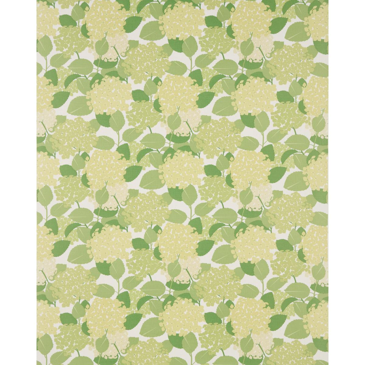 Hydrangea4936殿戦前 Hydrangea - Green Fabrics