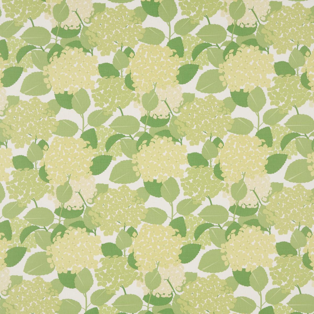 Hydrangea - Green Fabrics