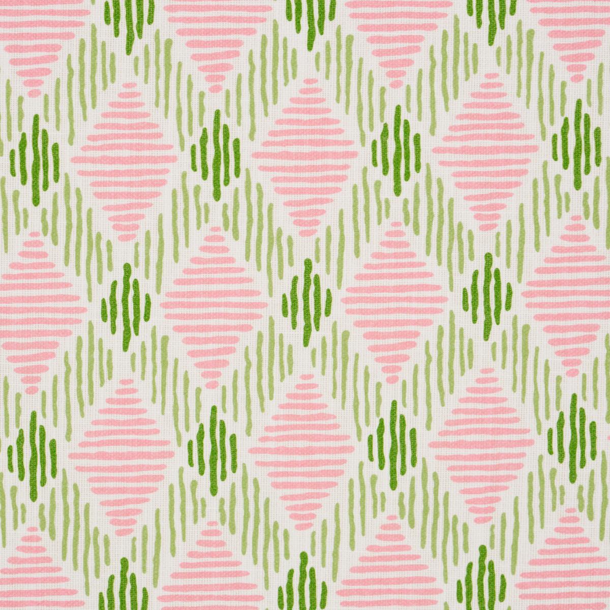 Dexter Indoor/Outdoor - Pink & Green Fabrics