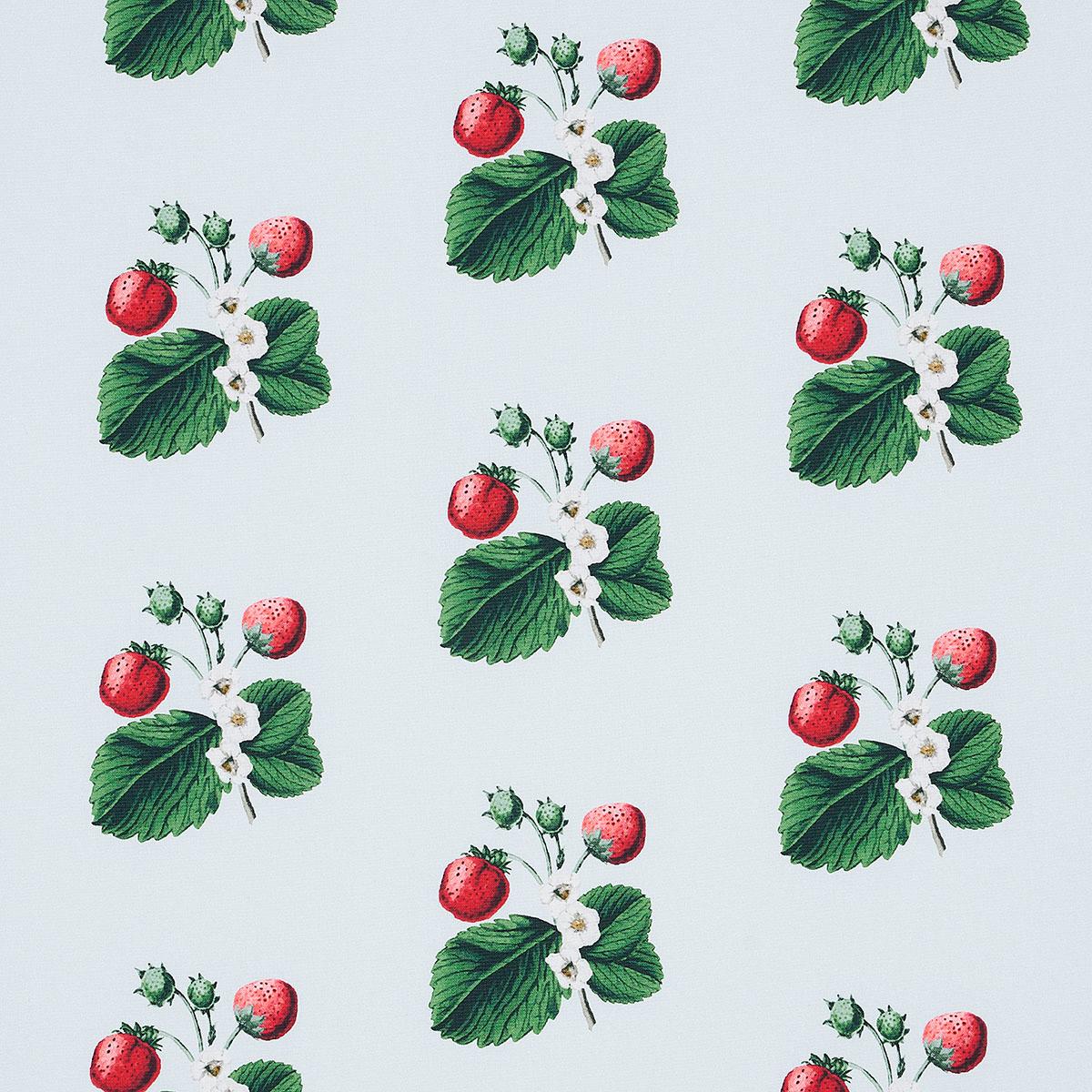 strawberryページ Strawberry Hill - Sky Fabrics | Schumacher