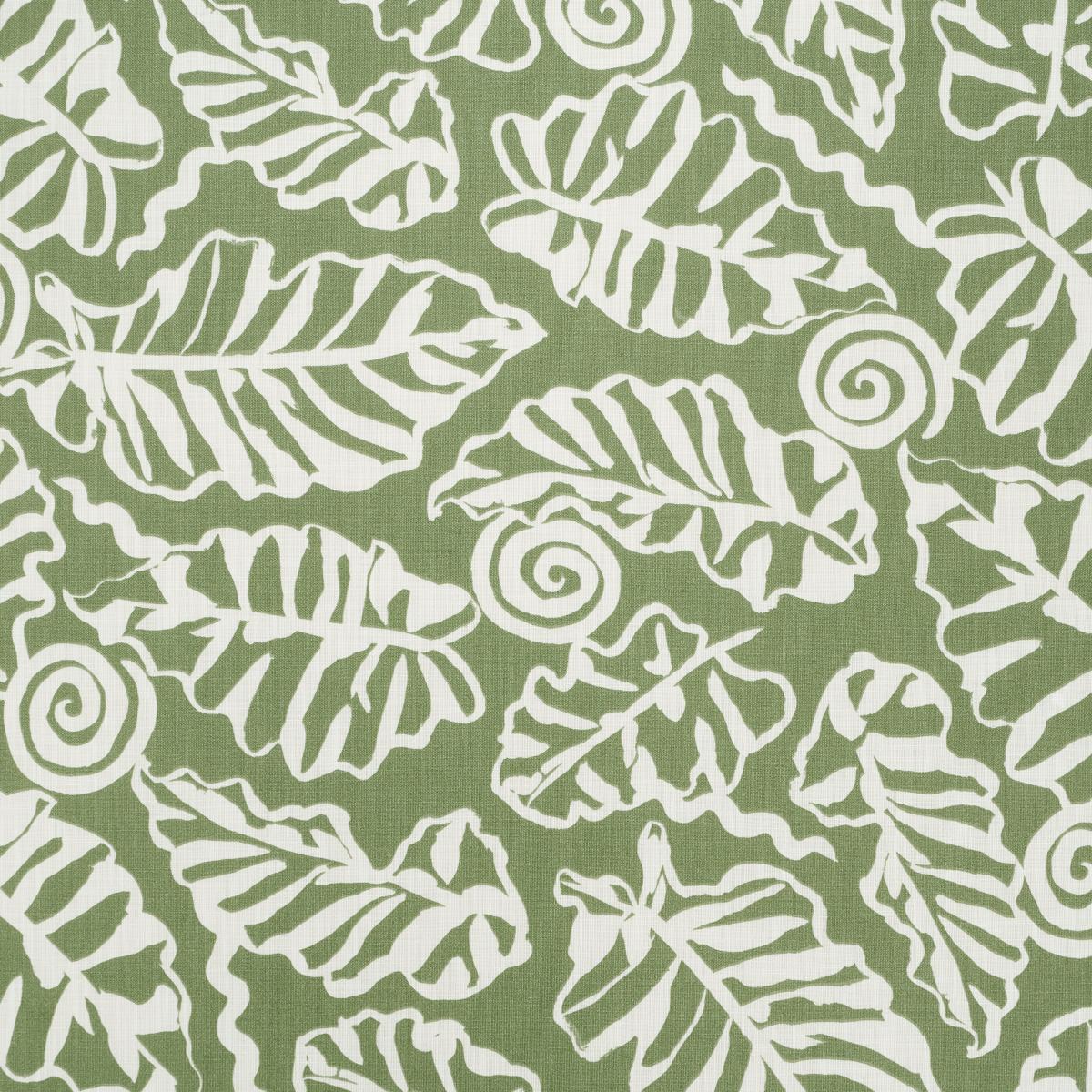 Del Mar Indoor/Outdoor - Verde Fabrics | Schumacher