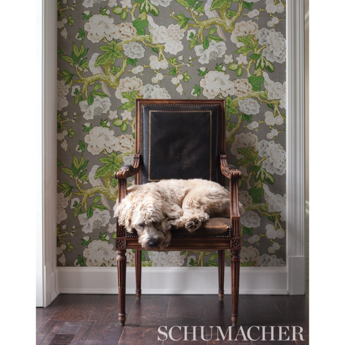 Bermuda Blossoms - Slate Wallpapers | Schumacher