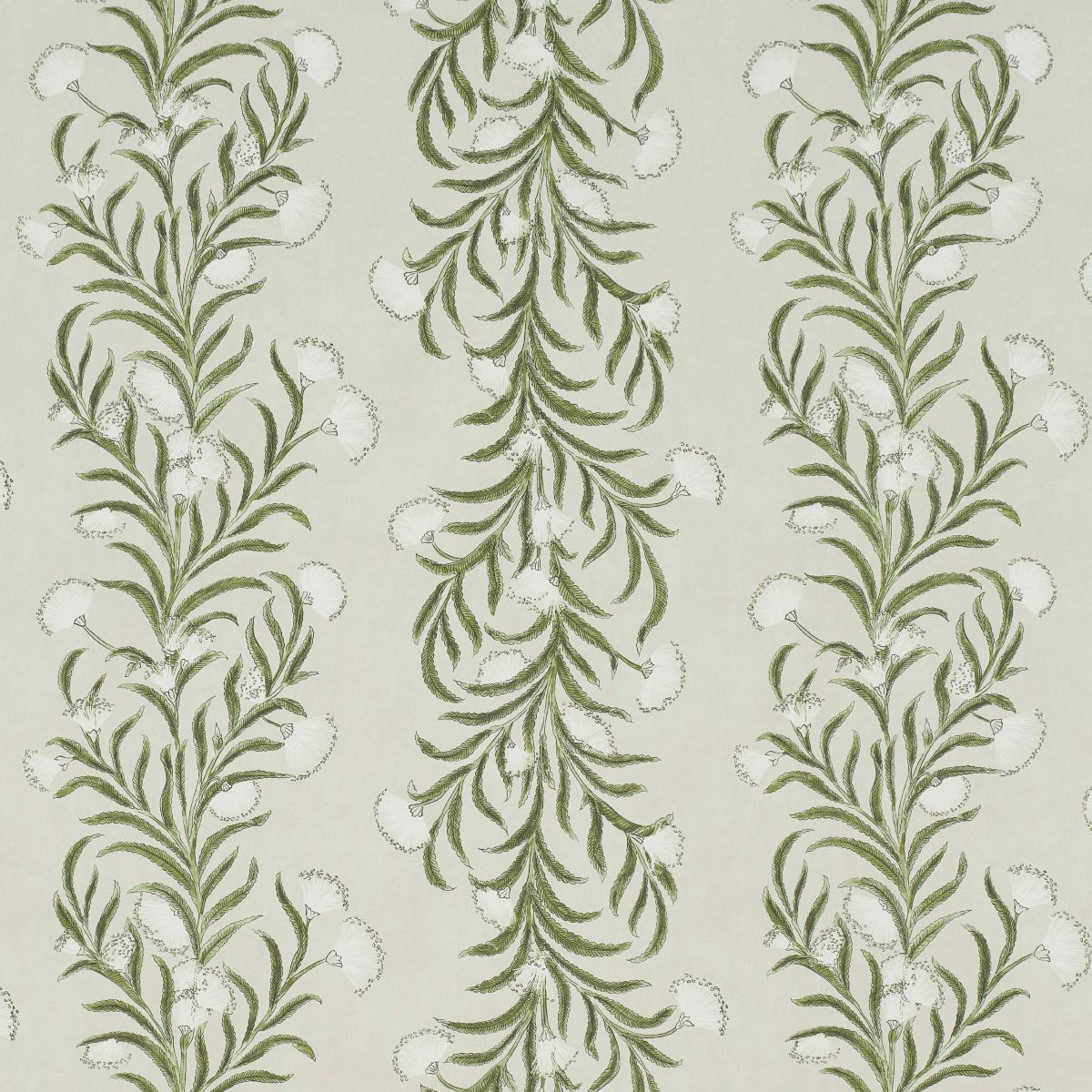 Tasmanian Mimosa - Ivory & Green Wallpapers | Schumacher