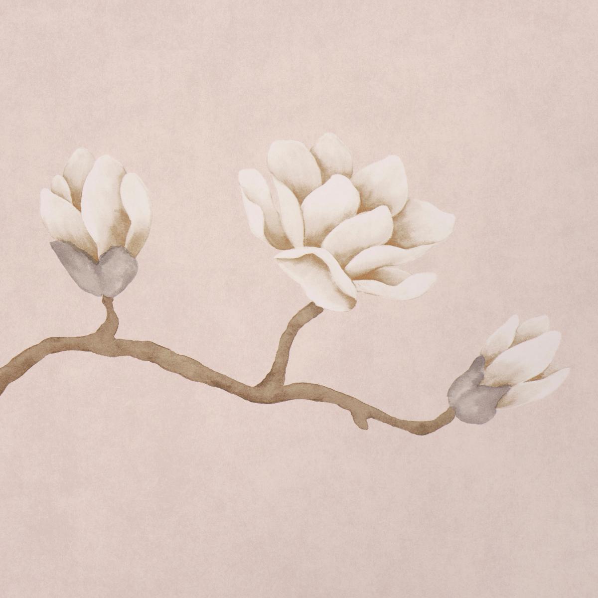 Magnolia Tree - Dusty Blush Wallpapers | Schumacher