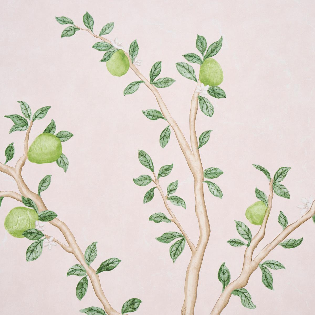Citrus Blossom 2 Panel Set - Blush Wallpapers