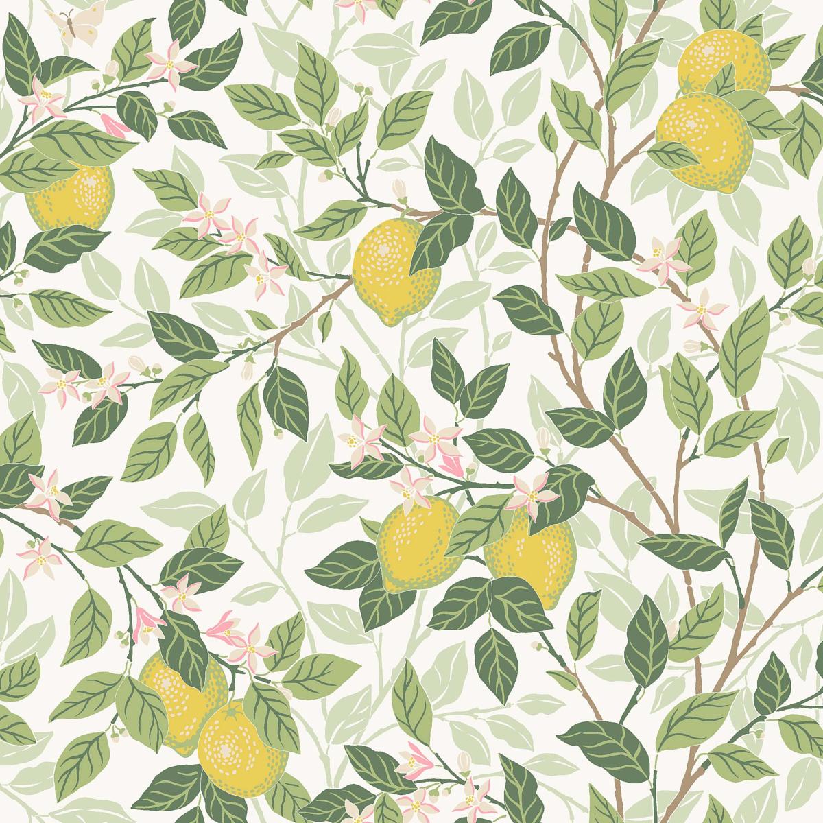 Citronträd - Ivory And Leaf Wallpapers | Schumacher