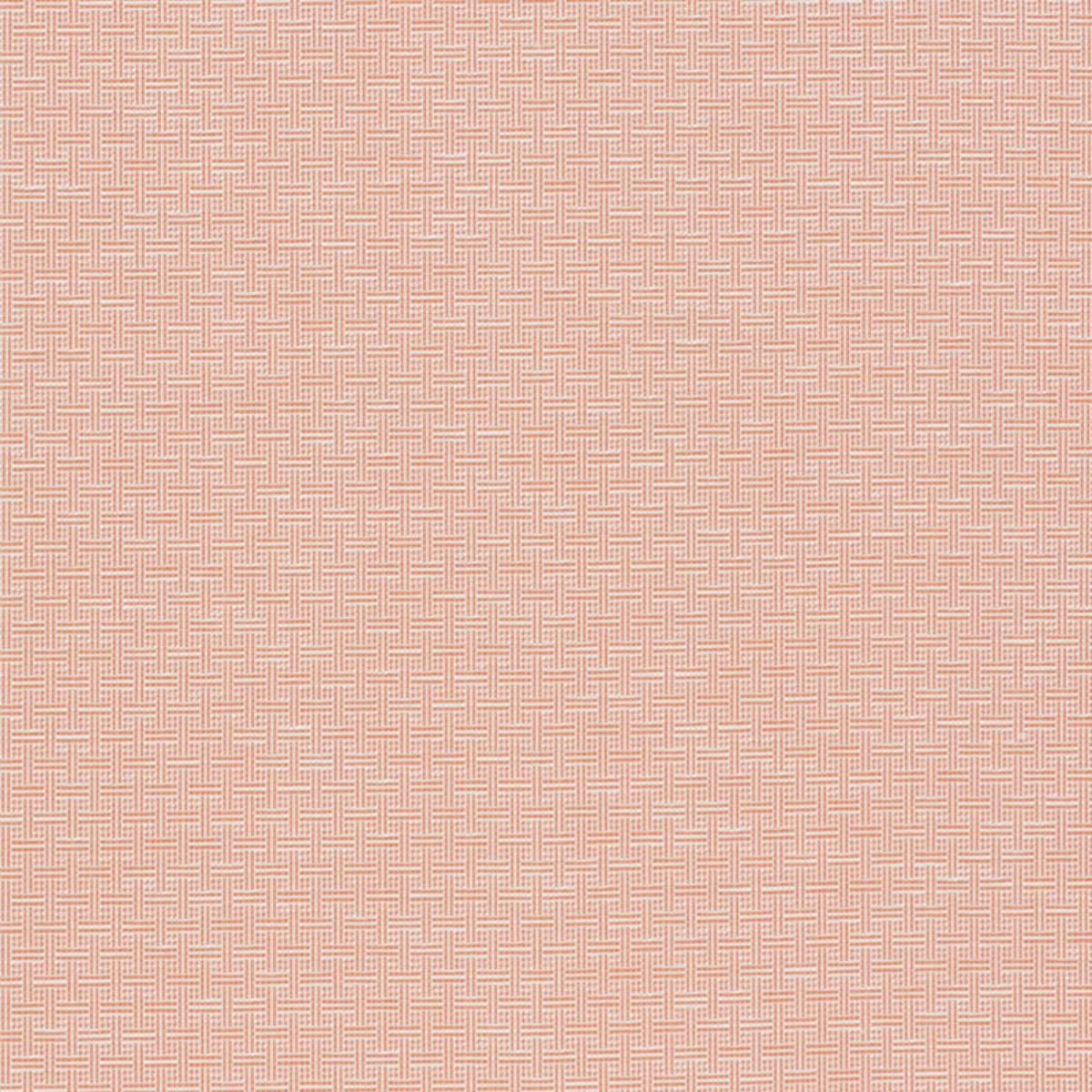 SCREEN SAVER & 東京ドギマギ　bch Brickell Indoor/Outdoor - Orange Fabrics