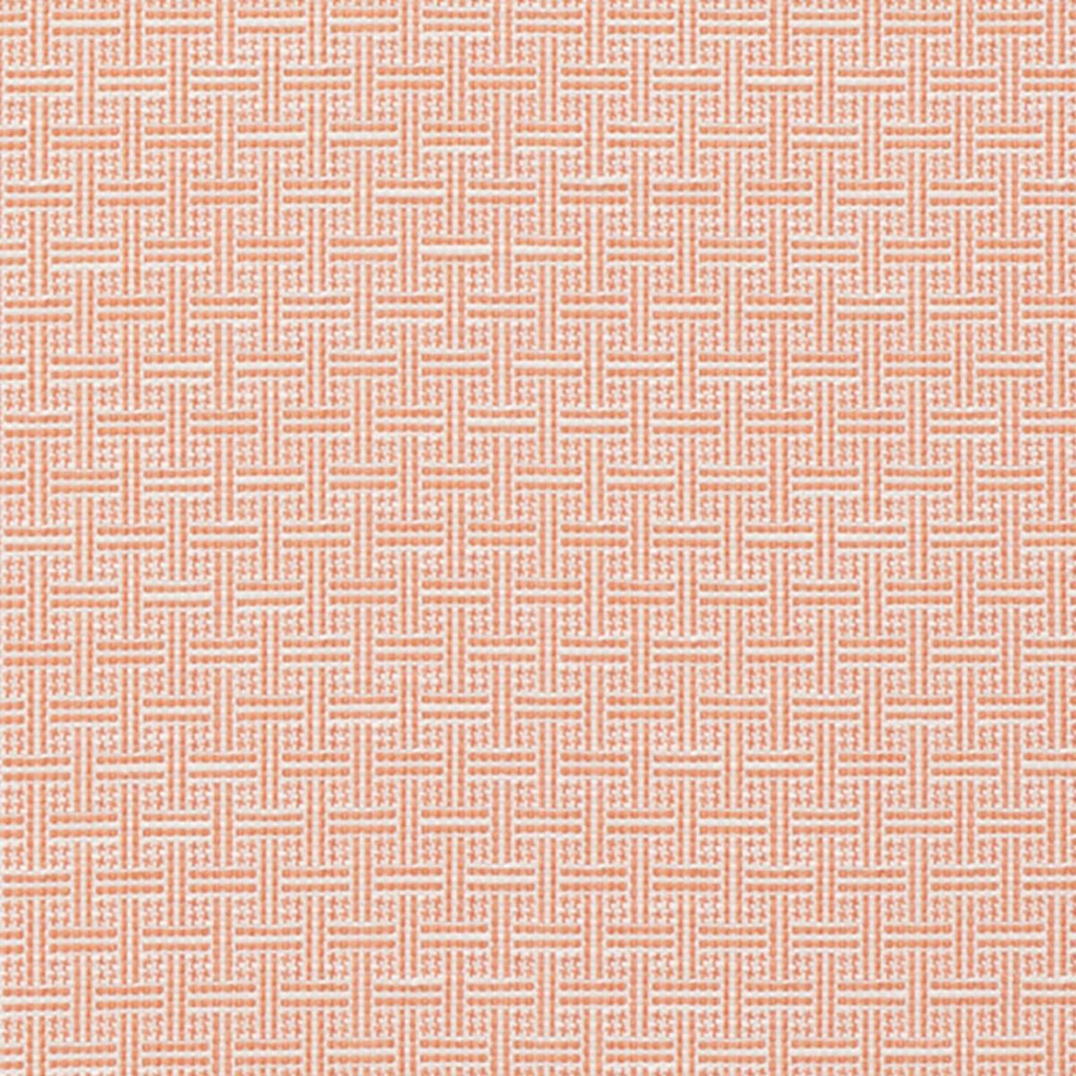 SCREEN SAVER & 東京ドギマギ　bch Brickell Indoor/Outdoor - Orange Fabrics