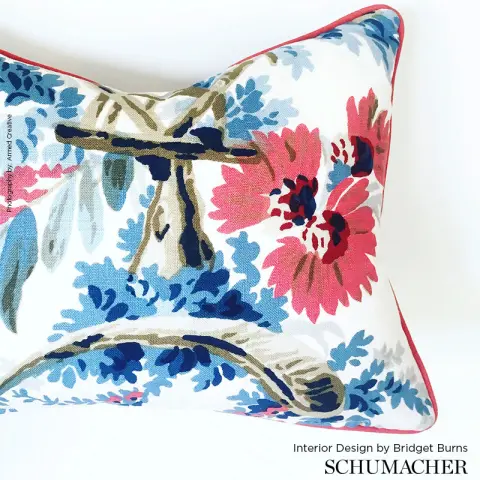 PLAISIRS DE LA CHINE_ BLEU & ROUGE