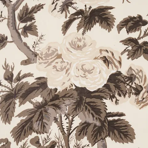 PYNE HOLLYHOCK_ CHARCOAL