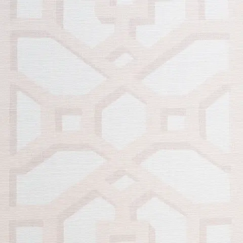 ZANZIBAR TRELLIS MATTE_ BLUSH