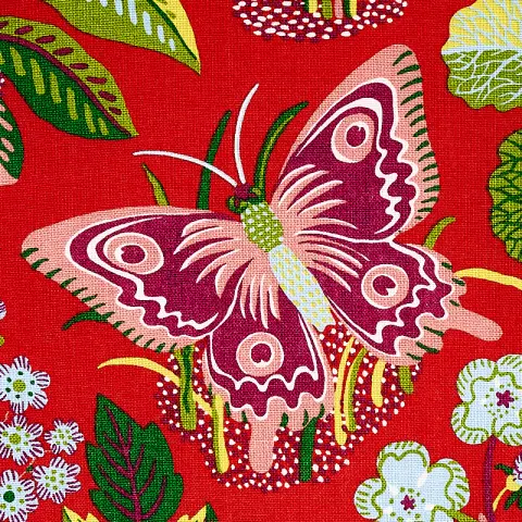 EXOTIC BUTTERFLY_ RED