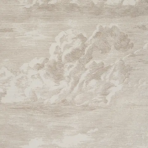 CLOUD TOILE_ CHAMPAGNE