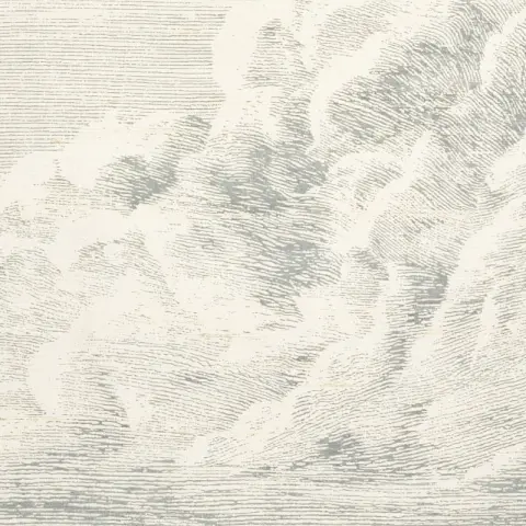CLOUD TOILE_ DELFT