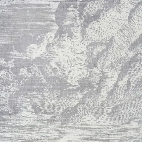 CLOUD TOILE_ FOG